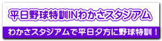 京都(南)野球クラブ